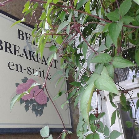 Thorpe Green House Vegetarian Bed & Breakfast Robin Hood's Bay Eksteriør billede