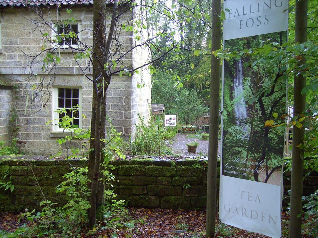 Thorpe Green House Vegetarian Bed & Breakfast Robin Hood's Bay Eksteriør billede