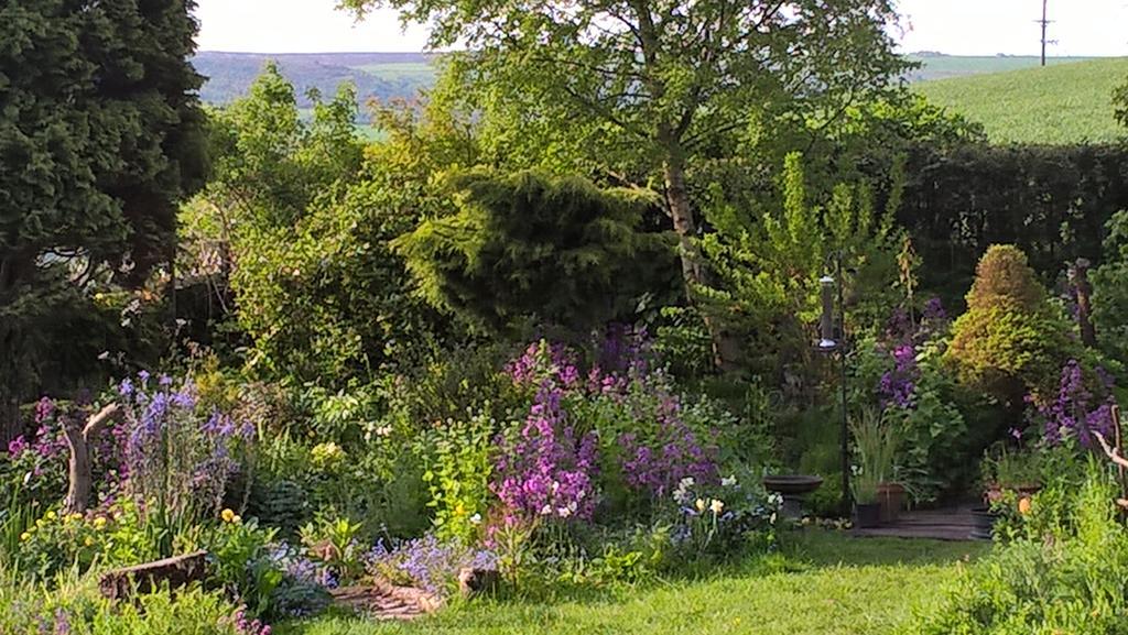 Thorpe Green House Vegetarian Bed & Breakfast Robin Hood's Bay Eksteriør billede