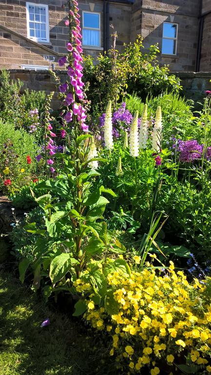 Thorpe Green House Vegetarian Bed & Breakfast Robin Hood's Bay Eksteriør billede