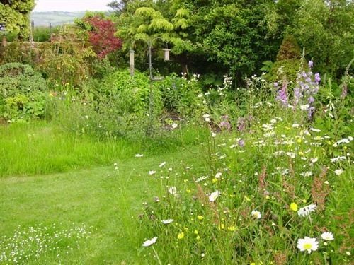 Thorpe Green House Vegetarian Bed & Breakfast Robin Hood's Bay Eksteriør billede