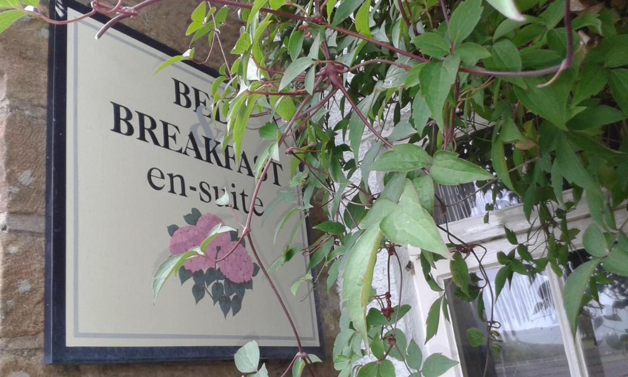 Thorpe Green House Vegetarian Bed & Breakfast Robin Hood's Bay Eksteriør billede